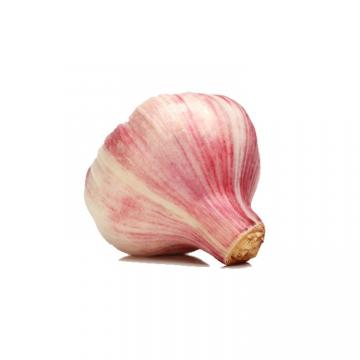 Fresh Pure Red White Export Garlic With Good Quality