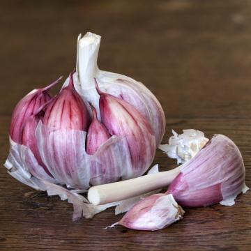Fresh Natural Red Garlic Best Price