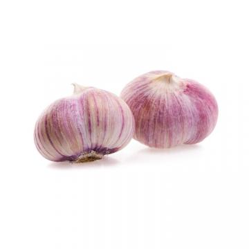 Fresh Red Garlic