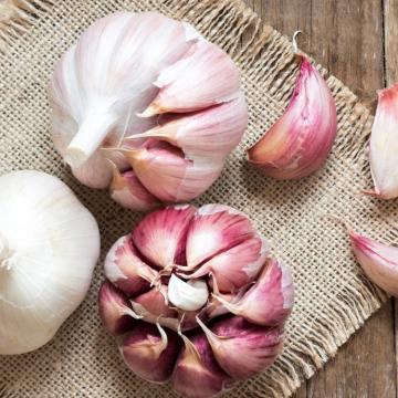 Dry Normal White Red Purple Garlic
