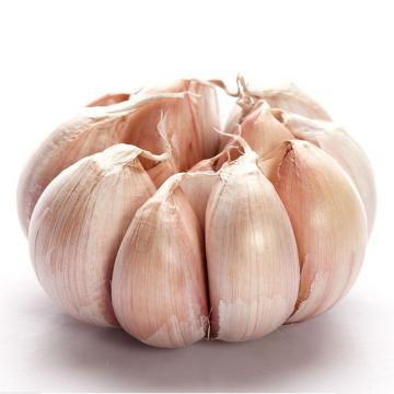 High Quality Purple Garlic Bag