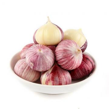 Greenfarm Sale High Quality Low Price Single Clove Garlic