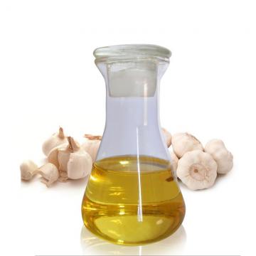 Supplier Fresh Golden Garlic