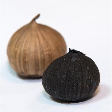 Organic Fermented Black Garlic,Natural Aged Balck Garlic