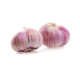 Fresh Natural Red Garlic Best Price