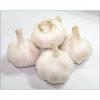 Fresh New Crop Pure/Normal White Garlic