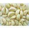 Top Quality Frozen Peeled Garlic Cloves #2 small image