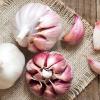 Big Garlic Purple Garlic With Cheap Price Made by China