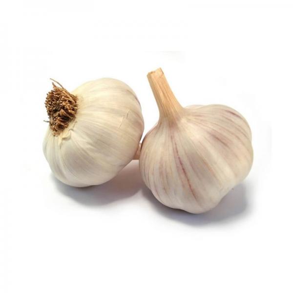 Fresh Normal White Garlic Price #1 image
