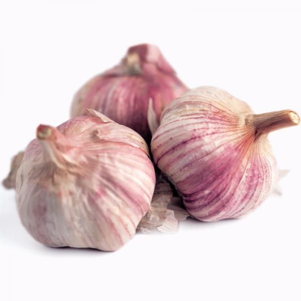 Dry Normal White Red Purple Garlic #2 image