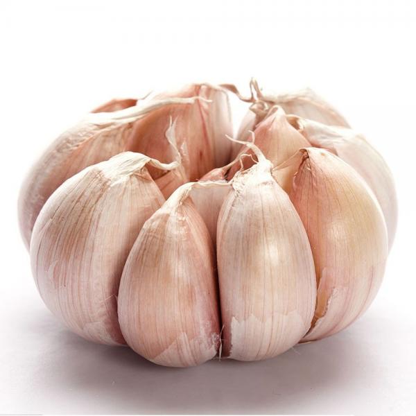 Fresh Cold Storage Purple Garlic #3 image