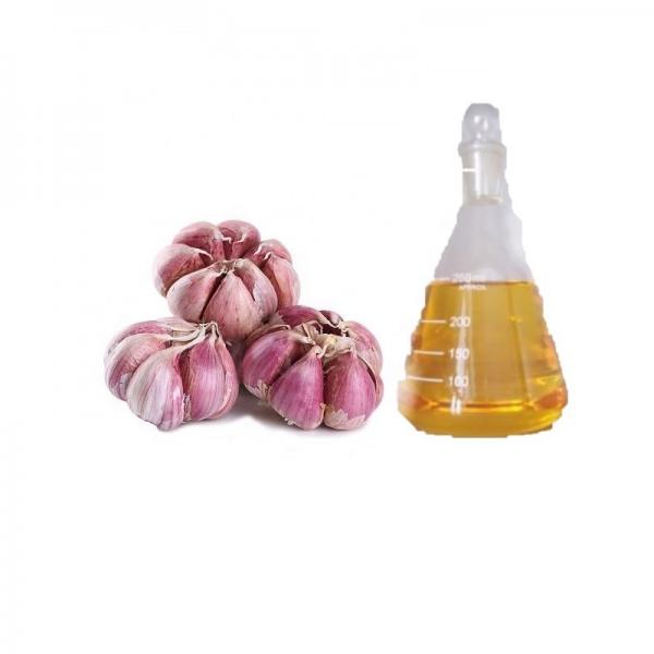 Bulk Garlic Wholesale #1 image