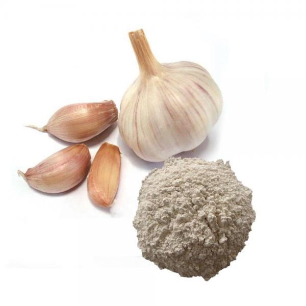 Bulk Garlic Wholesale #2 image