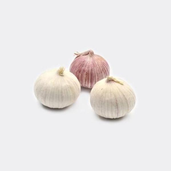 Greenfarm Sale High Quality Low Price Single Clove Garlic #2 image