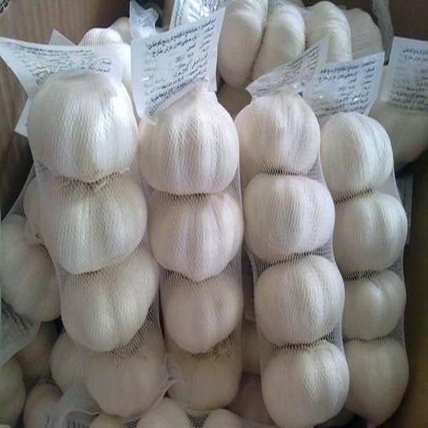 Fresh Garlic  Packaging Single Clove Garlic Braids #1 image